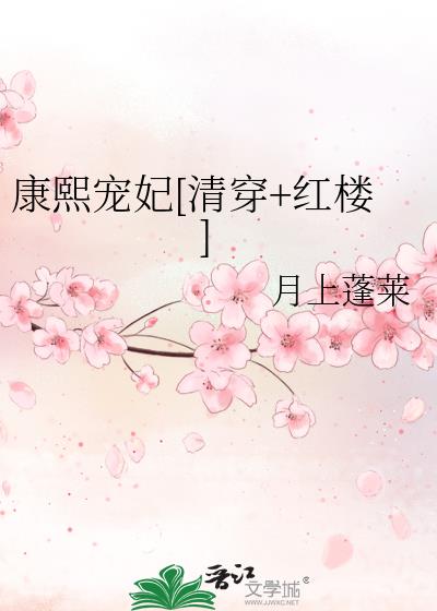 清穿康熙晚年宠妃