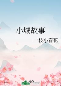 小城故事小说全文免费阅读网